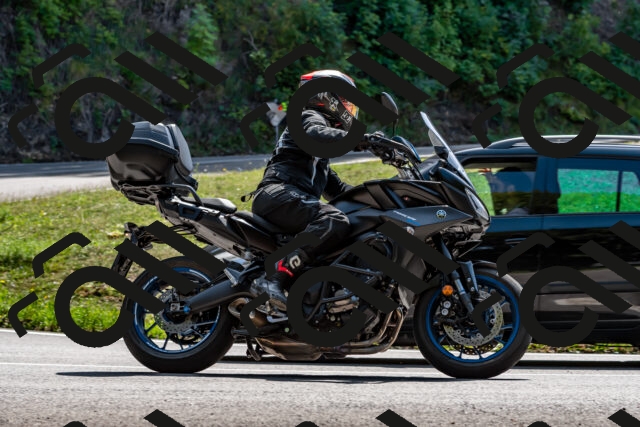 202509131319-DSC_9278_d2_