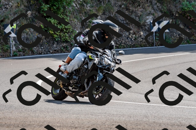 202509131321-DSC_9281_d2_