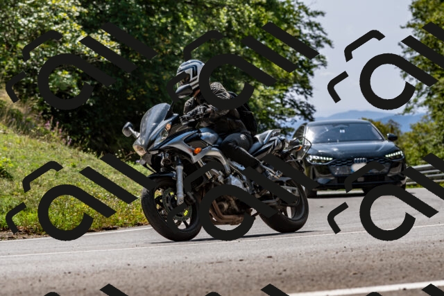 202509131325-DSC_9290_d2_