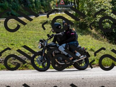 202509131326-DSC_9299_d2_