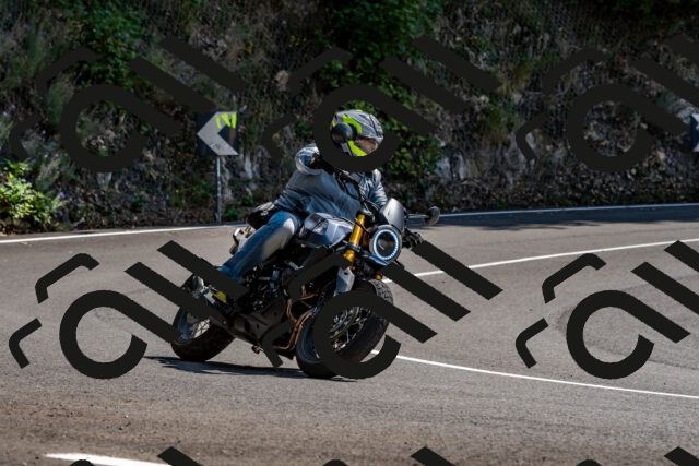 202509131329-DSC_9308_d2_