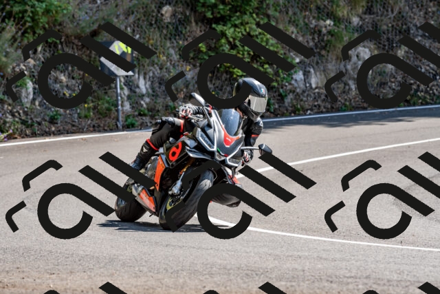 202509131332-DSC_9314_d2_