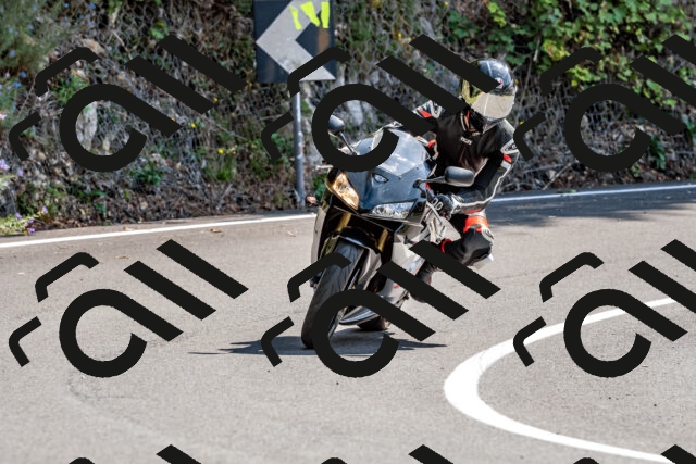 202509131332-DSC_9316_d2_