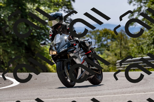 202509131334-DSC_9330_d2_