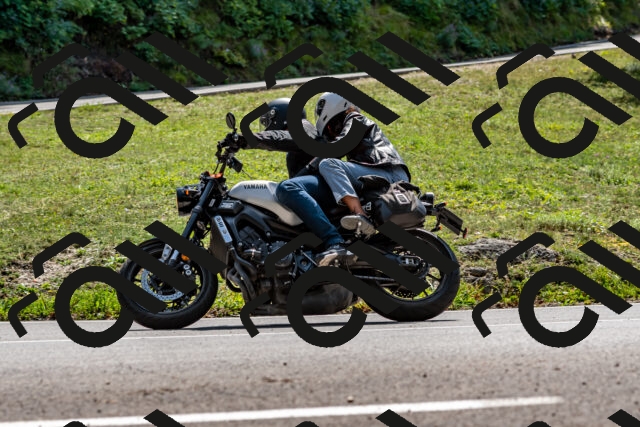 202509131341-DSC_9337_d2_