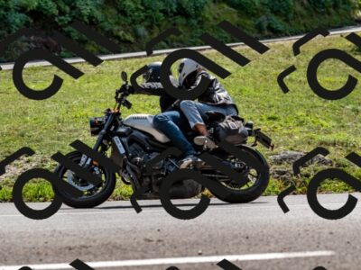 202509131341-DSC_9337_d2_