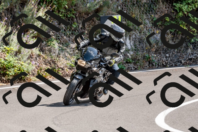 202509131356-DSC_9364_d2_