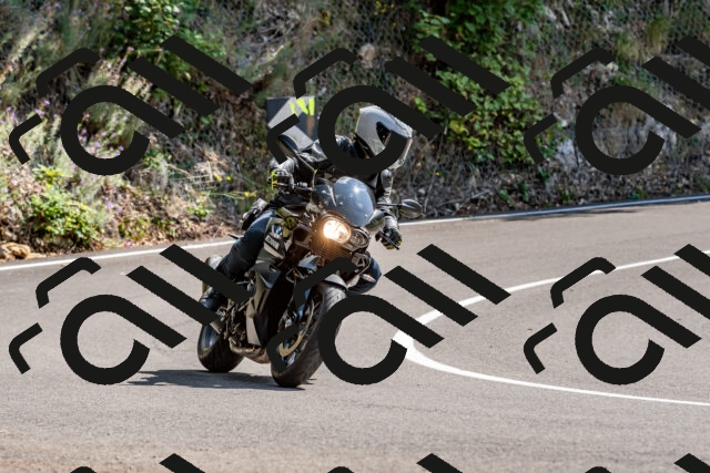 202509131356-DSC_9365_d2_