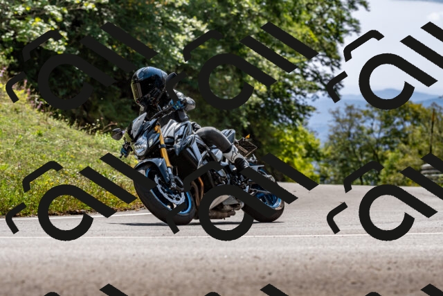 202509131358-DSC_9375_d2_