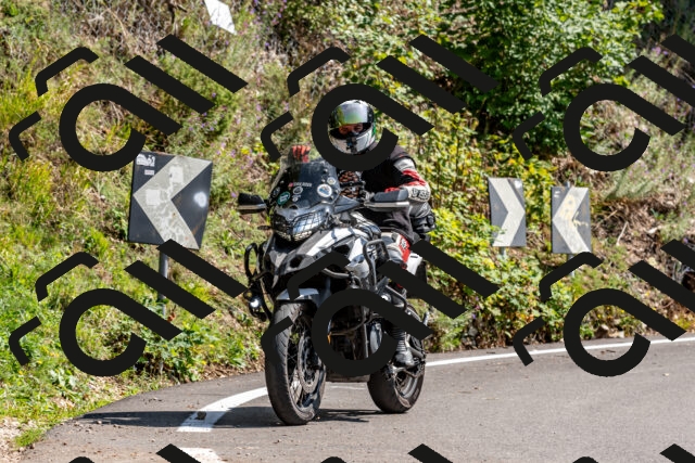 202509131404-DSC_9379_d2_