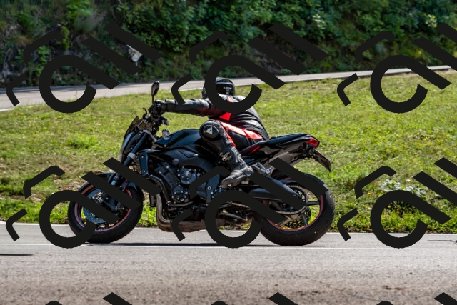 202509131405-DSC_9395_d2_