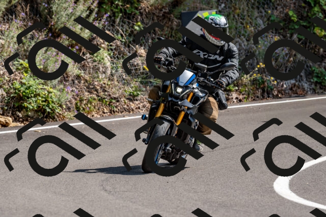 202509131413-DSC_9419_d2_