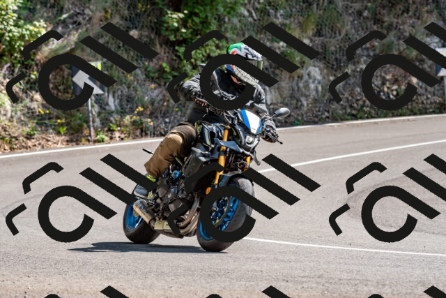 202509131413-DSC_9420_d2_