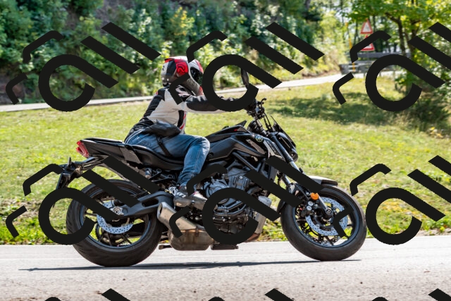 202509131413-DSC_9423_d2_