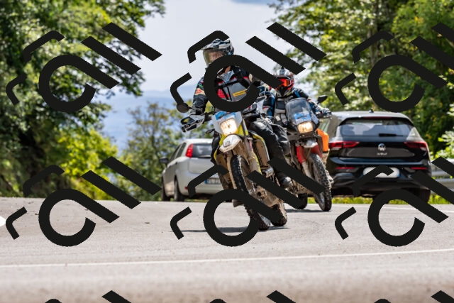 202509131418-DSC_9435_d2_