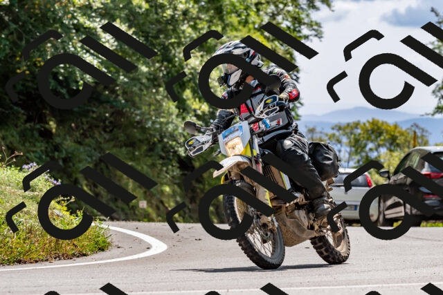 202509131418-DSC_9436_d2_