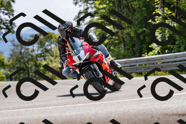 202509131423-DSC_9446_d2_