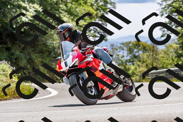 202509131423-DSC_9447_d2_