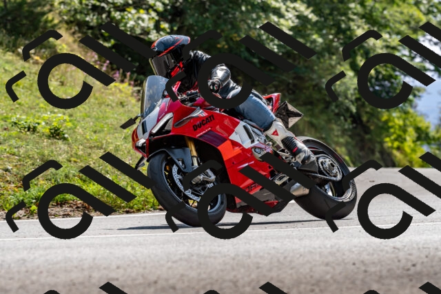 202509131423-DSC_9448_d2_