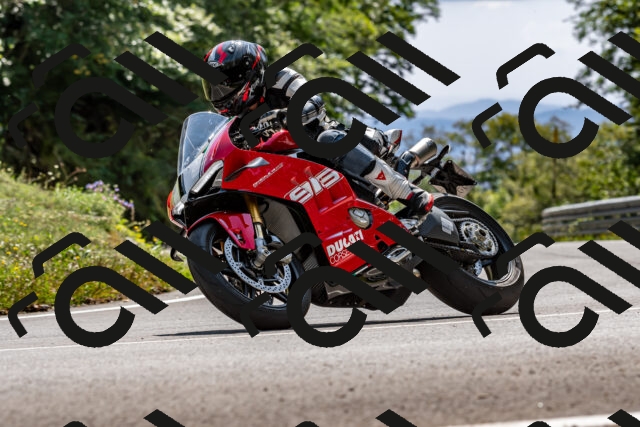 202509131423-DSC_9450_d2_