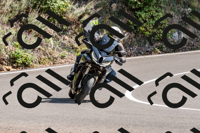 202509131426-DSC_9475_d2_