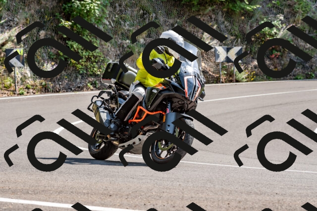 202509131426-DSC_9478_d2_