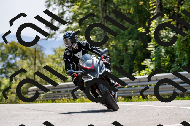 202509131429-DSC_9480_d2_