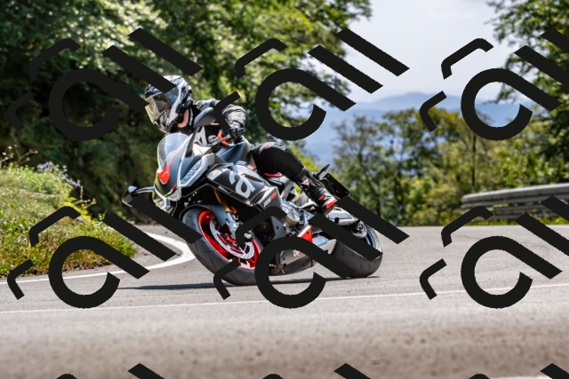 202509131429-DSC_9481_d2_