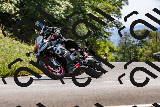 202509131429-DSC_9482_d2_