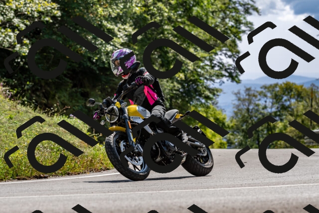 202509131429-DSC_9485_d2_