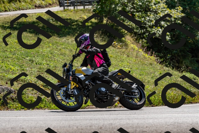 202509131429-DSC_9486_d2_