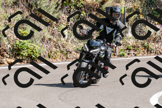 202509131442-DSC_9493_d2_