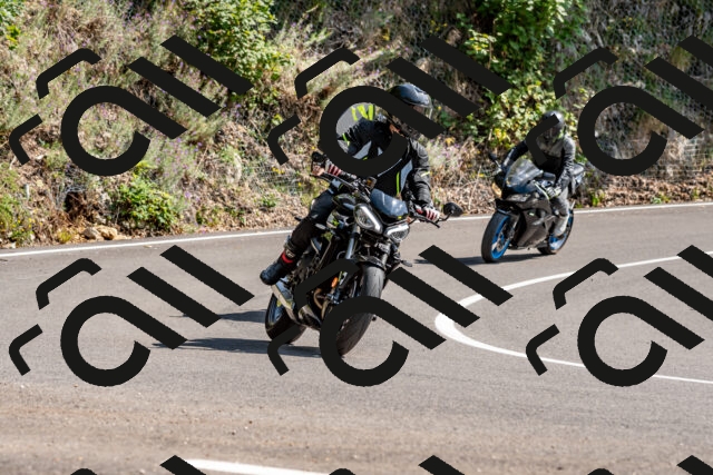 202509131442-DSC_9494_d2_