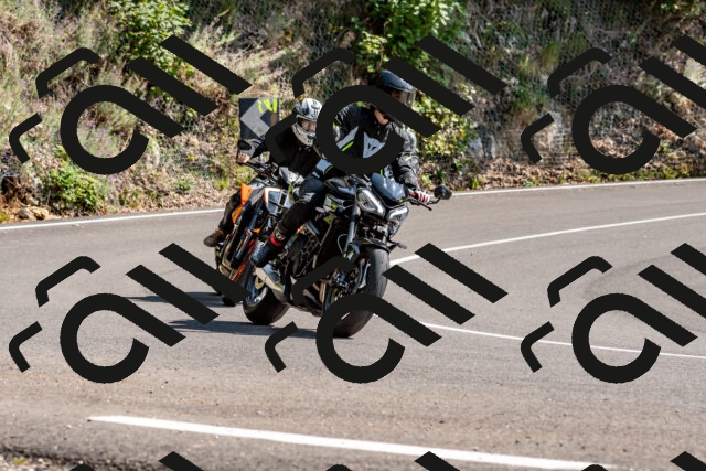 202509131443-DSC_9495_d2_