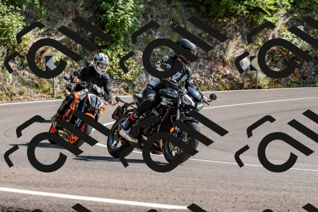 202509131443-DSC_9496_d2_