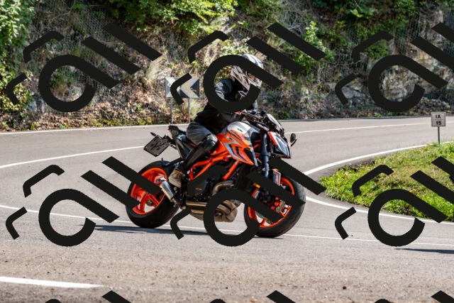 202509131443-DSC_9498_d2_