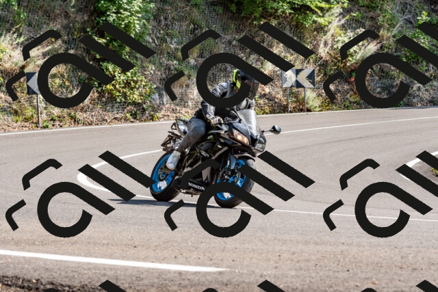 202509131443-DSC_9499_d2_