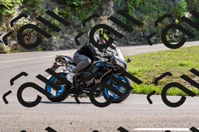 202509131443-DSC_9501_d2_