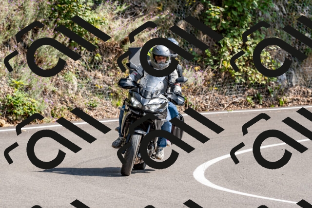 202509131444-DSC_9503_d2_