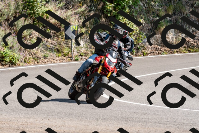 202509131450-DSC_9519_d2_