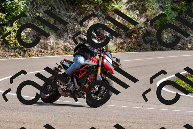 202509131450-DSC_9520_d2_