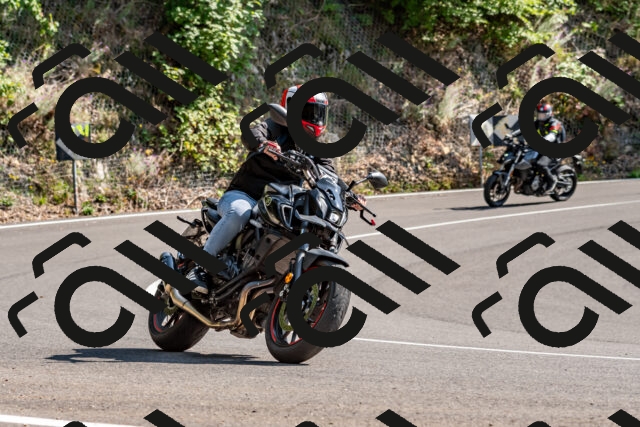 202509131450-DSC_9522_d2_