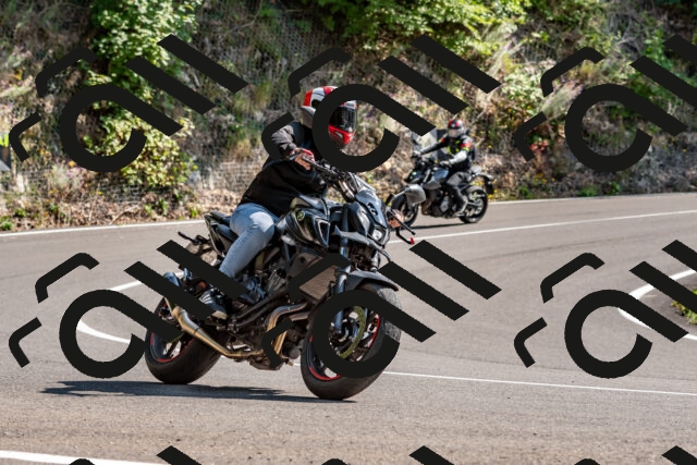 202509131450-DSC_9523_d2_