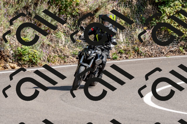 202509131450-DSC_9525_d2_