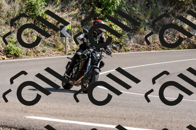 202509131450-DSC_9526_d2_