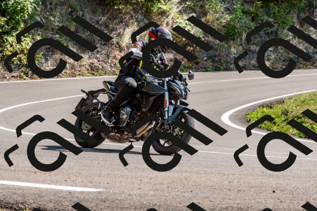 202509131450-DSC_9527_d2_