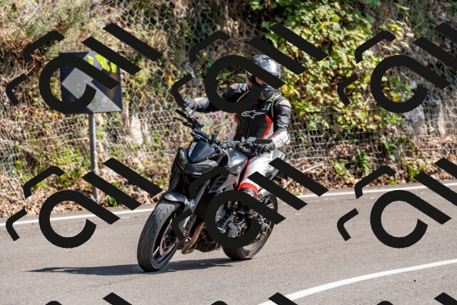 202509131450-DSC_9528_d2_