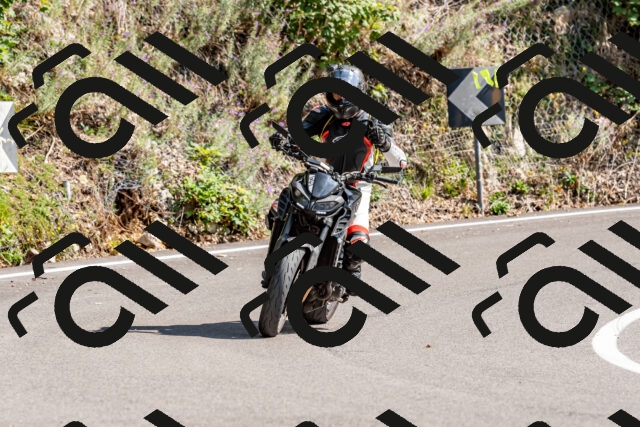 202509131450-DSC_9529_d2_