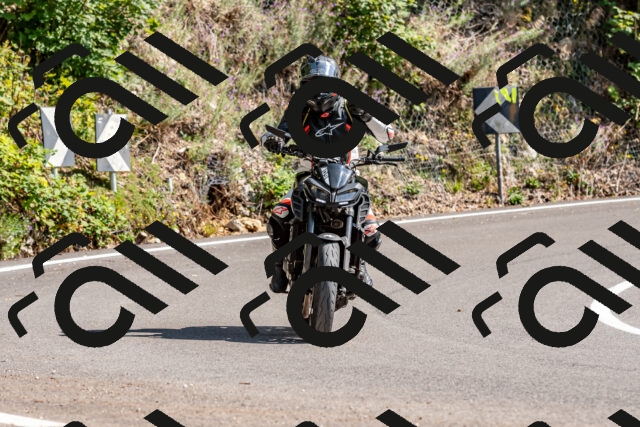 202509131450-DSC_9530_d2_