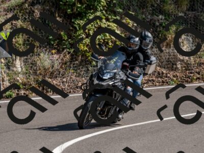 202509131454-DSC_9535_d2_